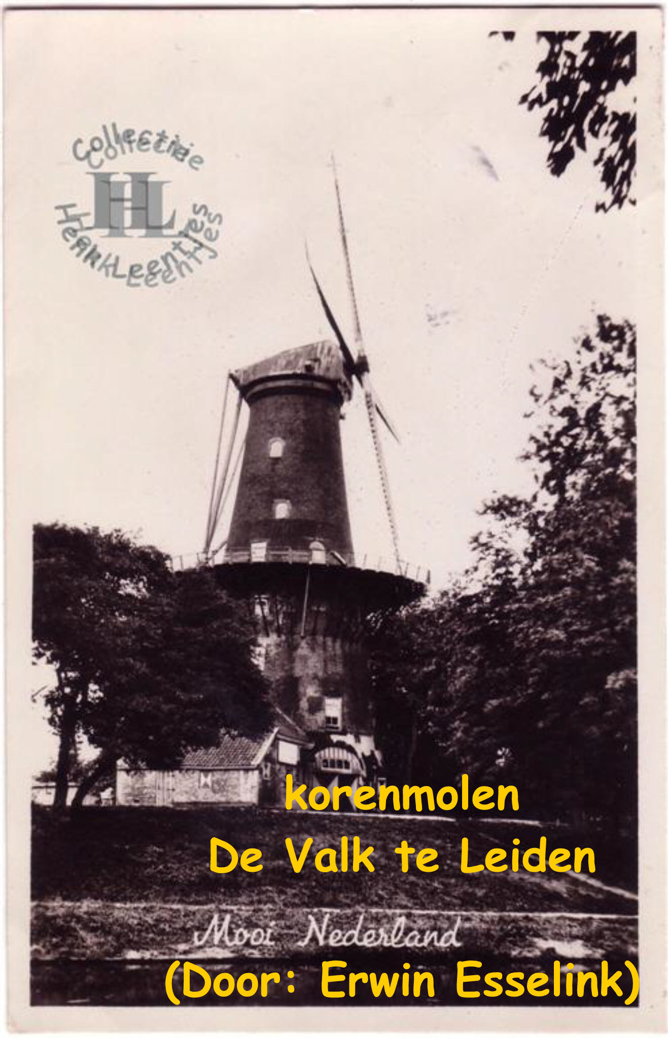 Korenmolen De Valk te Leiden (door: Erwin Esselink)
